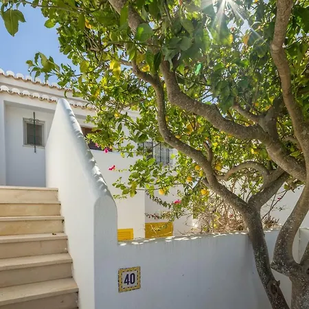 فيلة Casa Tulipa *